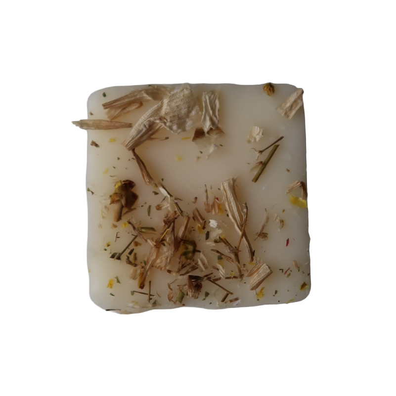 Beach Daze Coconut Scented Wax Melt by Floral Stories